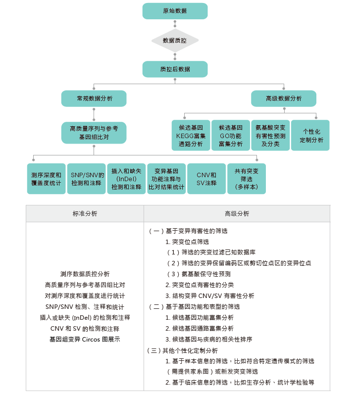 全基因组重测序-生信分析流程-Ebpay(中国)基因