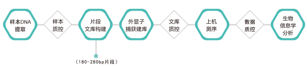 全外显子测序-技术路线-Ebpay(中国)基因 全外显子测序-技术路线-Ebpay(中国)基因