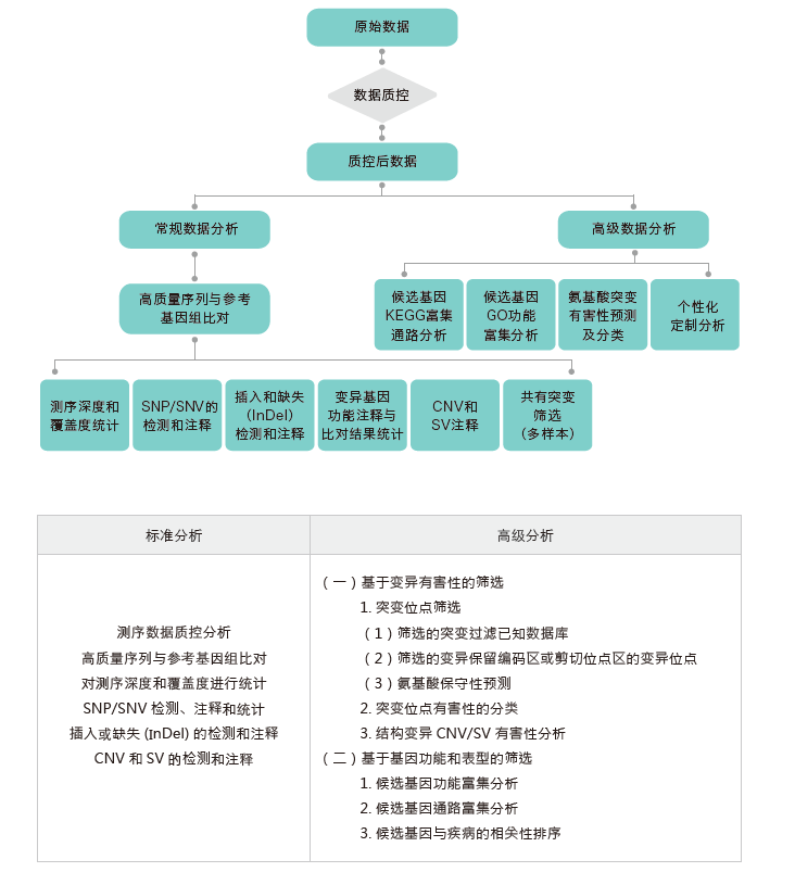 全外显子测序-生信分析流程-Ebpay(中国)基因 全外显子测序-生信分析流程-Ebpay(中国)基因