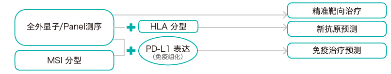 目标区域靶向捕获测序-肿瘤突变分析检测方法-Ebpay(中国)基因