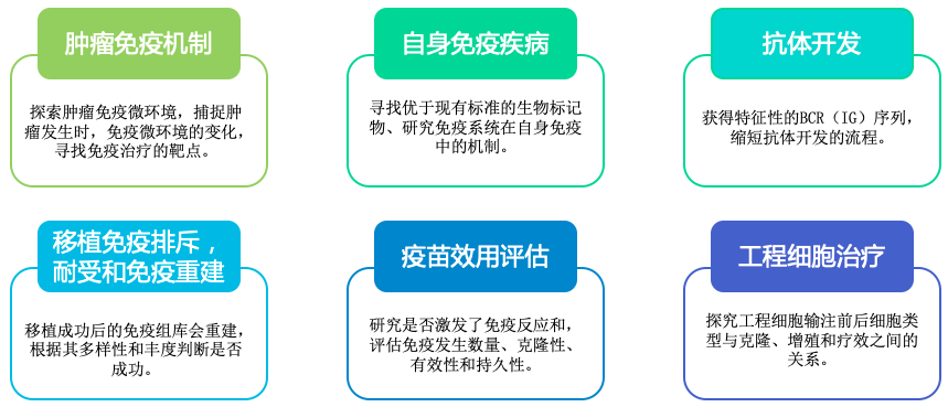 10x单细胞免疫组库V(D)J测序-应用领域-Ebpay(中国)基因