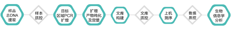 16S 18S ITS扩增子-技术路线-Ebpay(中国)基因 16S 18S ITS扩增子-技术路线-Ebpay(中国)基因