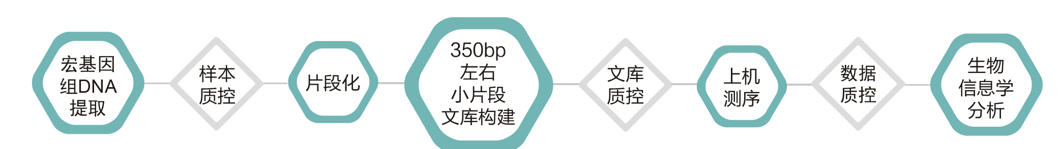 宏基因组测序-技术路线-Ebpay(中国)基因 宏基因组测序-技术路线-Ebpay(中国)基因