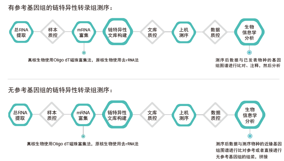 转录组测序-技术路线-Ebpay(中国)基因