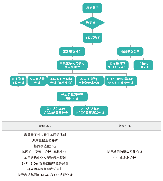 转录组测序-生信分析流程（有参）-Ebpay(中国)基因