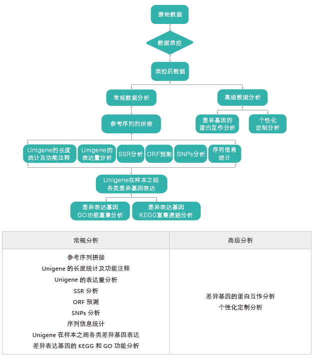 转录组测序-生信分析流程（无参）-Ebpay(中国)基因