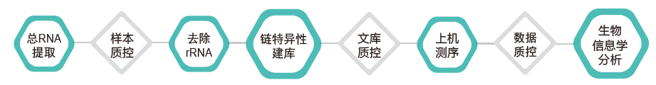 长链非编码RNA（lncRNA）测序-技术路线-Ebpay(中国)基因