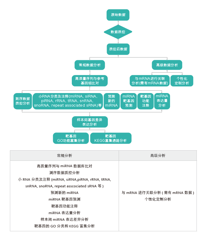 小RNA（small RNA）测序-生信分析流程-Ebpay(中国)基因