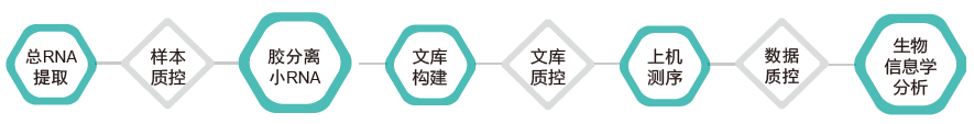 小RNA（small RNA）测序-技术路线-Ebpay(中国)基因
