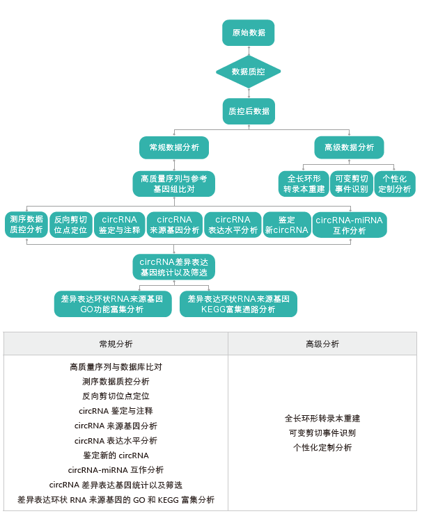 环状RNA（circRNA）测序-生信分析流程-Ebpay(中国)基因