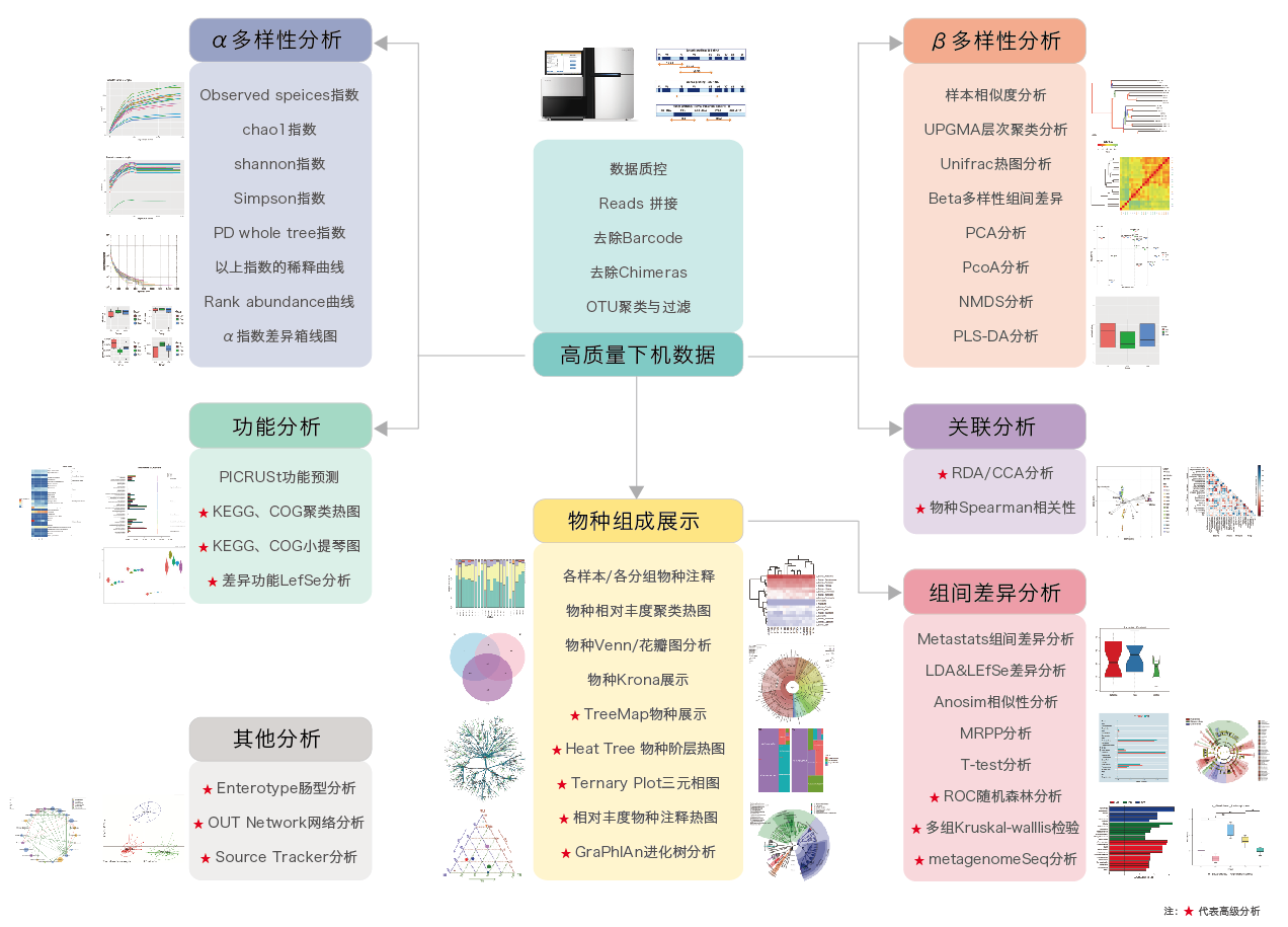16S/18S/ITS扩增子测序-生信分析流程-Ebpay(中国)基因 16S/18S/ITS扩增子测序-生信分析流程-Ebpay(中国)基因
