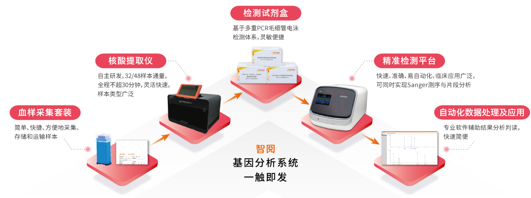 智阅基因分析系统-Ebpay(中国)基因