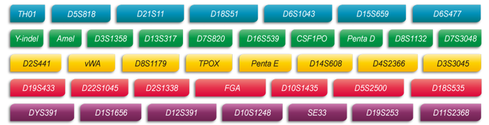 Ebpay(中国)基因Microreader™ 36A ID System位点