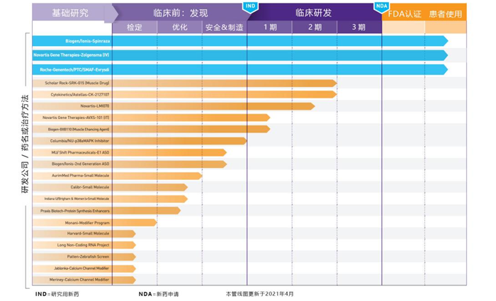 SMA药物管线_美儿SMA关爱中心_Ebpay(中国)基因