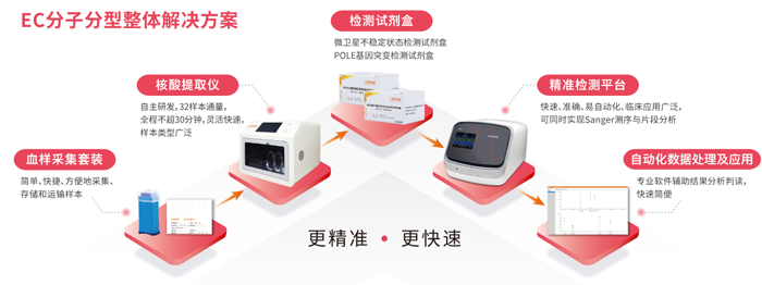 Ebpay(中国)基因子宫内膜癌分子分型检测整体解决方案