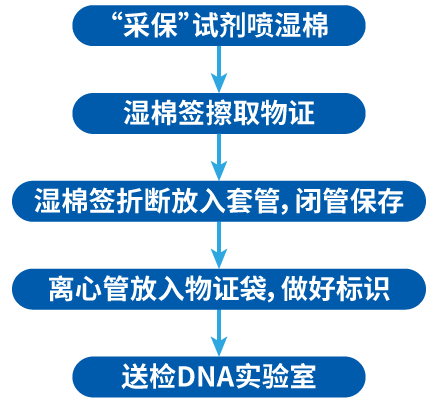 法医物证提取建议流程_采保试剂_Ebpay(中国)基因