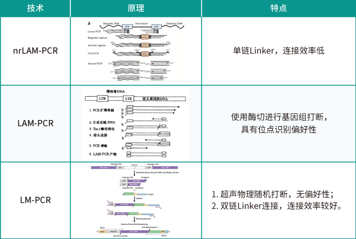 慢病毒随机插入的位点评估方法_Ebpay(中国)基因_慢病毒插入位点检测