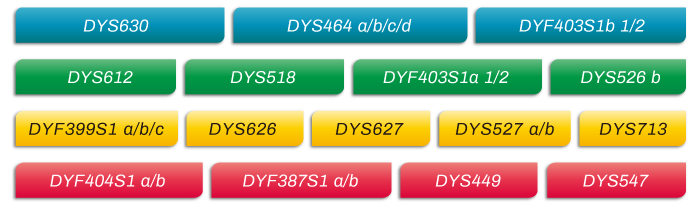 MicroreaderTM-RM-Y-ID-System位点信息_家系排查中如何运用好RM Y-STR?_Ebpay(中国)基因 MicroreaderTM-RM-Y-ID-System位点信息_家系排查中如何运用好RM Y-STR?_Ebpay(中国)基因
