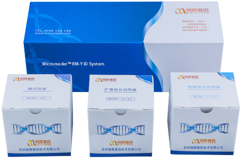 Microreader™ RM-Y ID System_家系排查中如何运用好RM Y-STR?_Ebpay(中国)基因 Microreader™ RM-Y ID System_家系排查中如何运用好RM Y-STR?_Ebpay(中国)基因